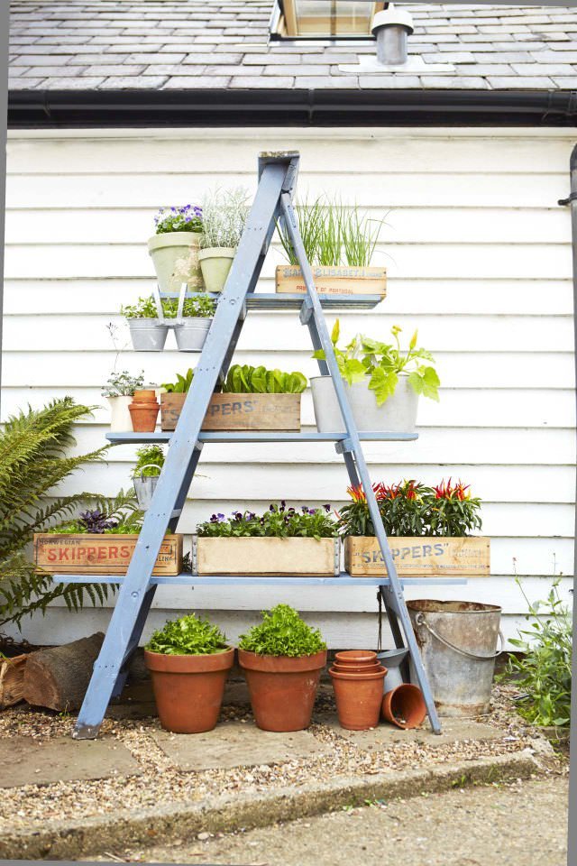 40 Best And Most Creative Diy Plant Stand Ideas For Inspiration