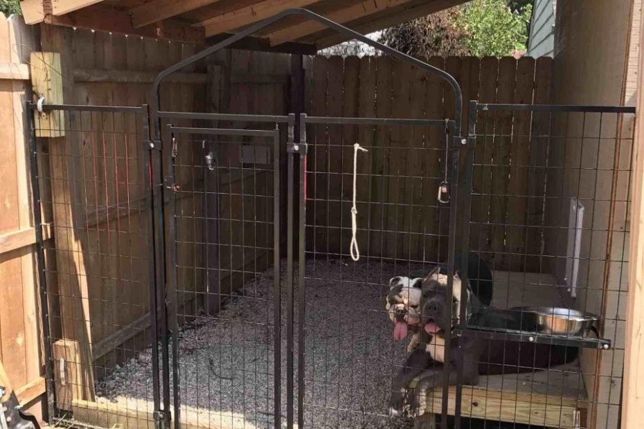 30+ Clever Designs Of How To Build Backyard Dog Kennel Ideas - Simphome | Dog  Kennel Outdoor, Building A Dog Kennel, Dog House Diy