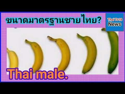 ขนาดมาตรฐาน​ชายไทยเท่าไหร่? How big the standard size for Thai guys?